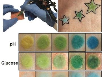 El cambio de color de los tatuajes por los niveles de biomarcadores