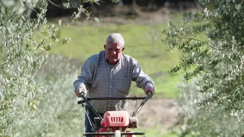 Juan Francisco Cano: "El campo y las mujeres me dan la vida" Juan Francisco Cano: "El campo y las mujeres me dan la vida"