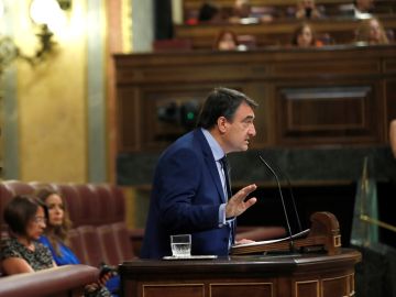 El portavoz del Partido Nacionalista Vasco en el Congreso de los Diputados, Aitor Esteban, interviene en el debate de investidura.