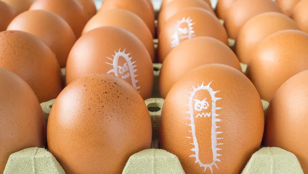 Cuidado con el consumo de huevo crudo