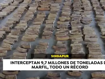 Las noticias internacionales que están marcando este martes 23 de julio Las noticias internacionales que están marcando este martes 23 de julio