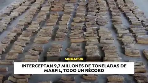 Las noticias internacionales que están marcando este martes 23 de julio Las noticias internacionales que están marcando este martes 23 de julio