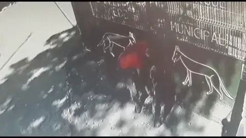 Graban el momento en el que abandonan a un pastor alemán en la puerta de un albergue de animales de Oviedo Graban el momento en el que abandonan a un pastor alemán en la puerta de un albergue de animales de Oviedo