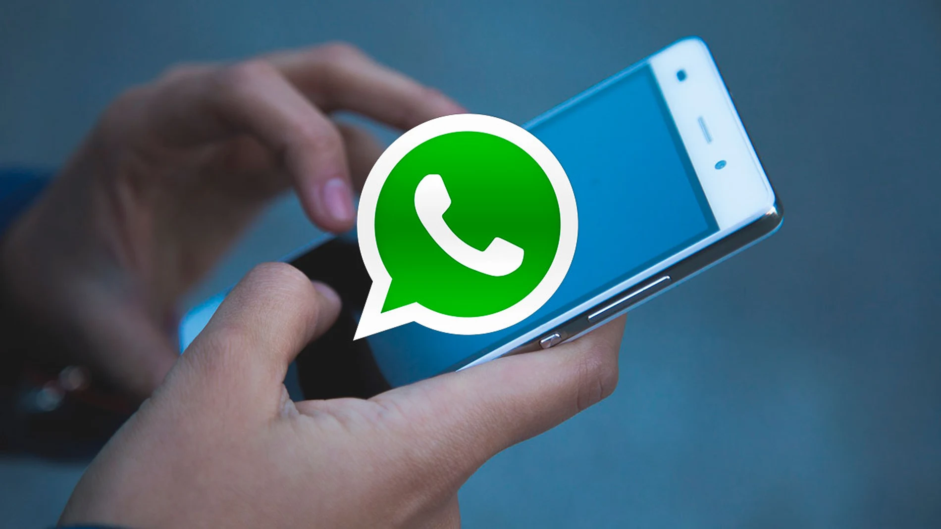 WhatsApp WhatsApp