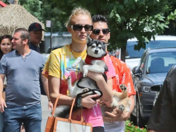 Tras lo sucedido Sophie Turner y Joe Jonas no se separan de sus perros