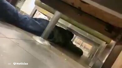 El sonido y la imagen del momento de los disparos en el tiroteo en los grandes almacenes Walmart de El Paso, en Texas