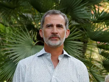 El rey Felipe VI El rey Felipe VI