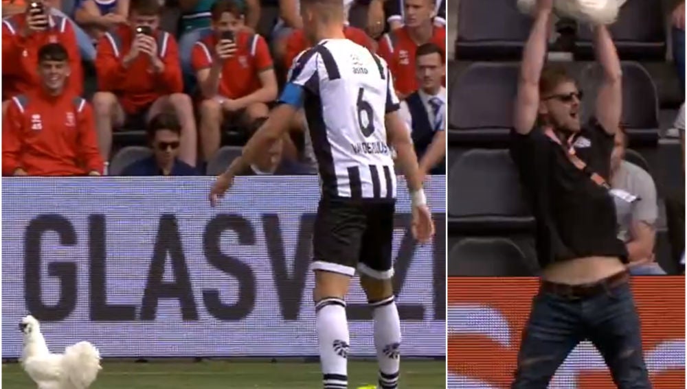 Una gallina interrumpe el partido de la Eredivise