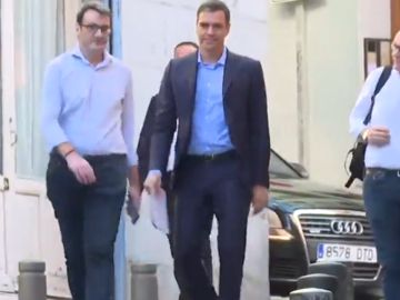 Sánchez reúne a las ONG ecologistas, que ya adelantan que no opinarán sobre fórmulas de gobierno Sánchez reúne a las ONG ecologistas, que ya adelantan que no opinarán sobre fórmulas de gobierno