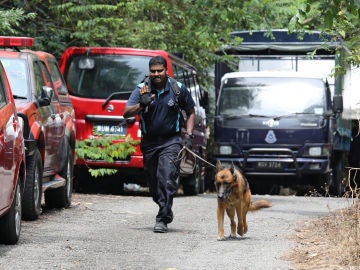 La policia malaya busca a una menor irlandesa desaparecida 