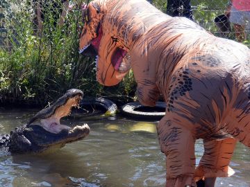 Dinosaurio se enfrenta a caimán Dinosaurio se enfrenta a caimán