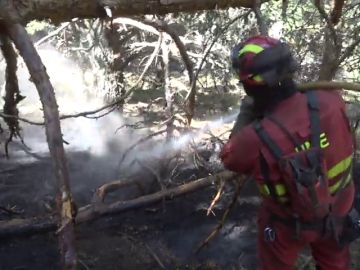 Baja a nivel 1 el incendio de La Granja y se trabaja para asegurar el perímetro Baja a nivel 1 el incendio de La Granja y se trabaja para asegurar el perímetro