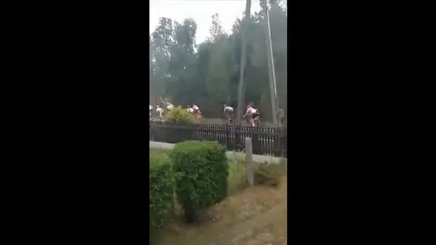 Duras imágenes: el momento de la brutal caída en la que murió el ciclista Bjorg Lambrecht Duras imágenes: el momento de la brutal caída en la que murió el ciclista Bjorg Lambrecht