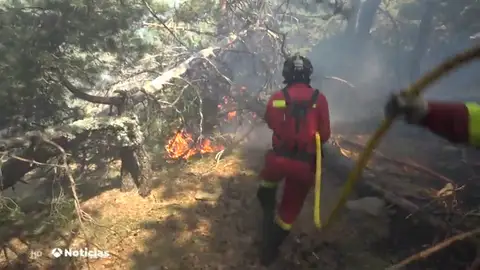 INCENDIOS INCENDIOS