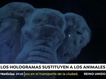CIRCO HOLOGRAMAS CIRCO HOLOGRAMAS