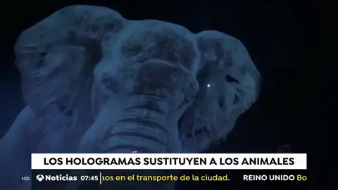 CIRCO HOLOGRAMAS CIRCO HOLOGRAMAS