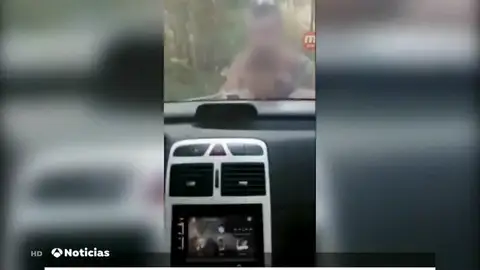 Aumentan los delitos al volante detectados a través de internet Aumentan los delitos al volante detectados a través de internet