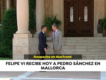 Noticias de hoy, miércoles 7 de agosto de 2019 Noticias de hoy, miércoles 7 de agosto de 2019