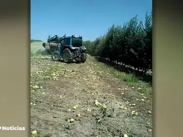 nueva trractor nueva trractor