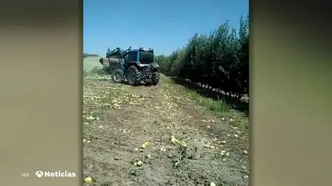 nueva trractor nueva trractor