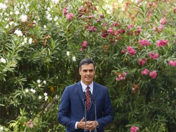 El presidente del Gobierno en funciones, Pedro Sánchez El presidente del Gobierno en funciones, Pedro Sánchez