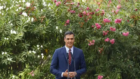 El presidente del Gobierno en funciones, Pedro Sánchez El presidente del Gobierno en funciones, Pedro Sánchez