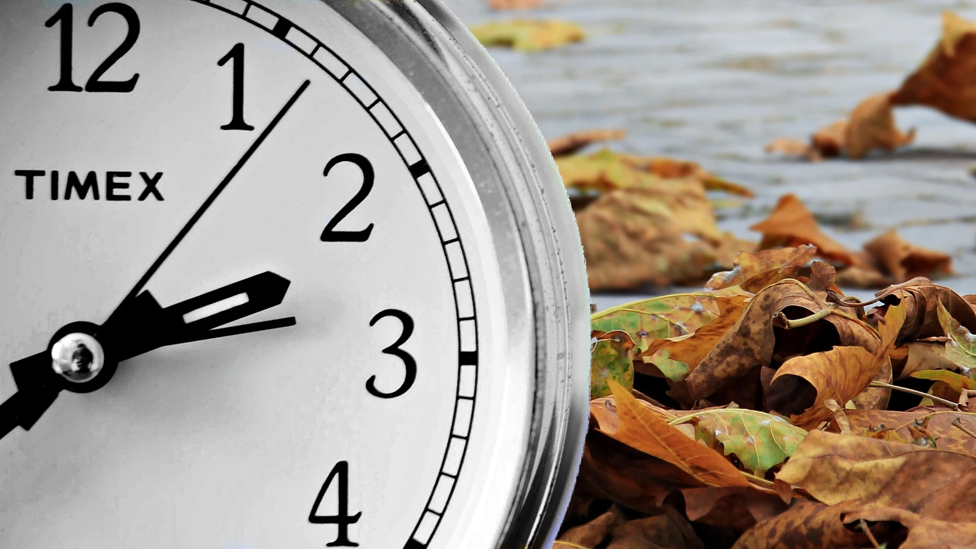 Reloj Reloj