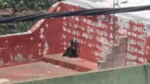 El sufrimiento de un perro abandonado atado en una azotea El sufrimiento de un perro abandonado atado en una azotea