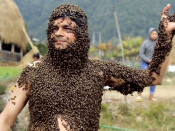 Cubierto de abejas Cubierto de abejas