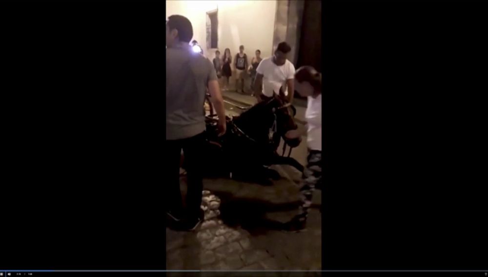 Otro caballo se desploma en Sevilla y los turistas recriminan al cochero el maltrato hacia el animal