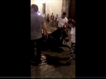 Otro caballo se desploma en Sevilla y los turistas recriminan al cochero el maltrato hacia el animal