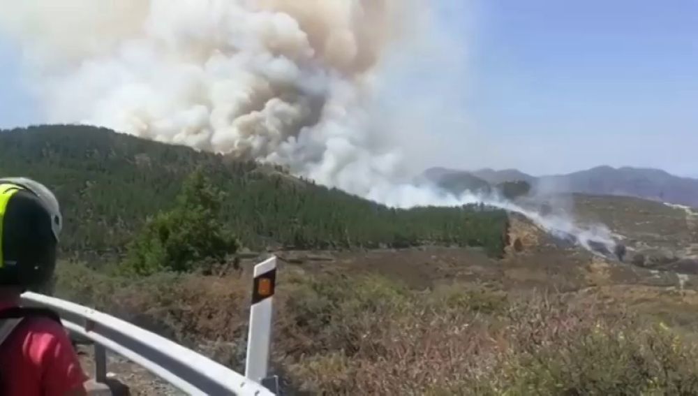 Declarado un incendio forestal en Artenara (Gran Canaria)