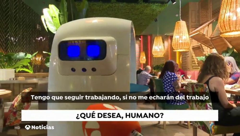 Cacahuete, el primer robot camarero en España