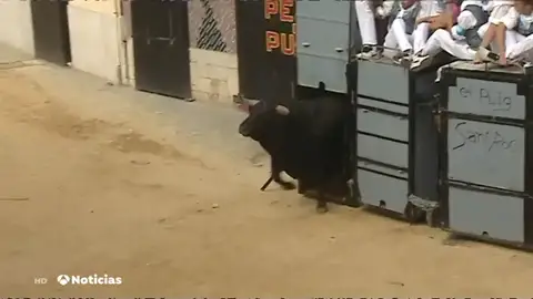 El Puig celebra los 'bous al carrer del Puig', una tradición que se repite cada año no exento de críticas El Puig celebra los 'bous al carrer del Puig', una tradición que se repite cada año no exento de críticas
