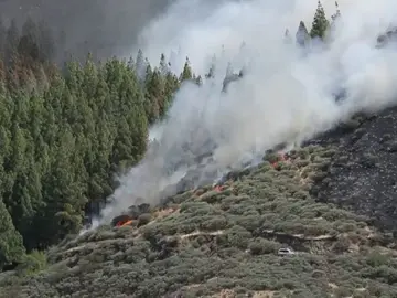 El incendio de Artenara (Gran Canaria) El incendio de Artenara (Gran Canaria)