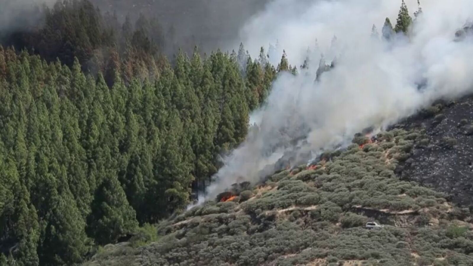 El incendio forestal de Artenara, en Gran Canaria, se da por extinguido