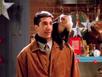 Ross presenta a su mono Marcel