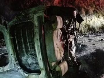 Un coche de policía arde tras caerle un oso encima 