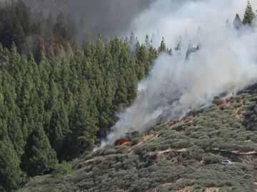  Desalojados los vecinos de 12 barrios por el incendio de Gran Canaria