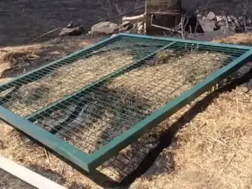 El incendio de Gran Canaria se originó en el paraje de Las Peñas Juncalillo debido a la negligencia de un vecino El incendio de Gran Canaria se originó en el paraje de Las Peñas Juncalillo debido a la negligencia de un vecino