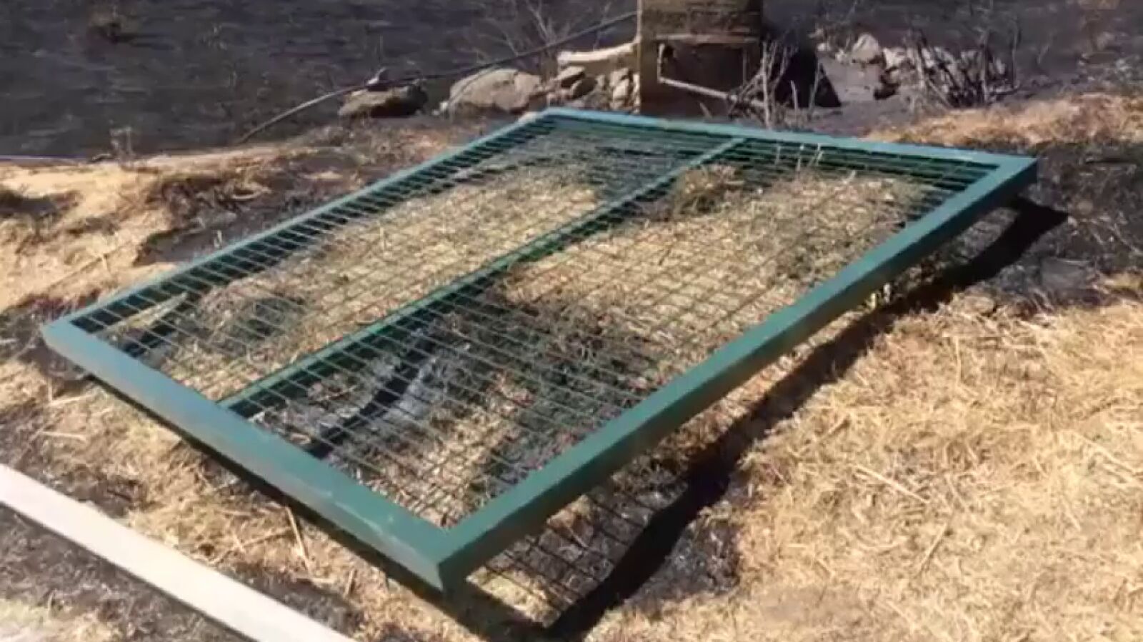 El incendio de Gran Canaria se originó en el paraje de Las Peñas Juncalillo debido a la negligencia de un vecino