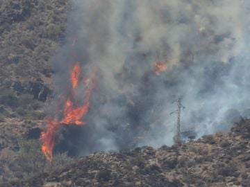 Incendio en Gran Canaria