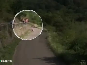 Rally de Alemania Rally de Alemania
