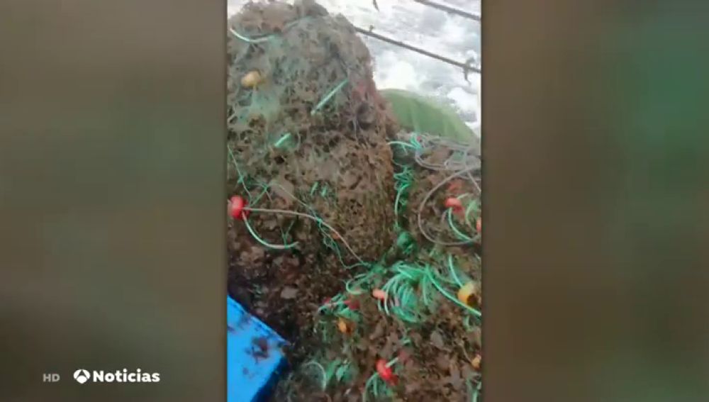 La invasión de algas en Tarifa preocupa a pescadores y turistas