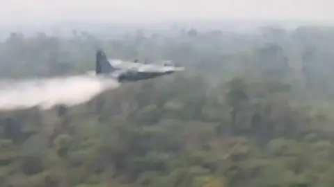 El G7 moviliza 20 millones de dólares para combatir el fuego en la Amazonía El G7 moviliza 20 millones de dólares para combatir el fuego en la Amazonía