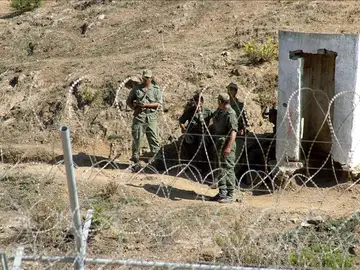 Concertinas Concertinas