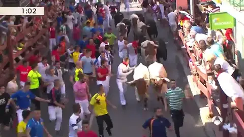 Primer encierro rápido y con numerosas caídas en las fiestas de San Sebastián de los Reyes Primer encierro rápido y con numerosas caídas en las fiestas de San Sebastián de los Reyes