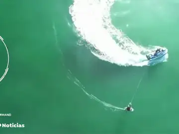 nueva tiburon nueva tiburon