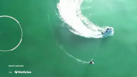 nueva tiburon nueva tiburon