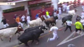 Primer encierro de las fiestas de San Sebastián de los Reyes 2019, en vídeo